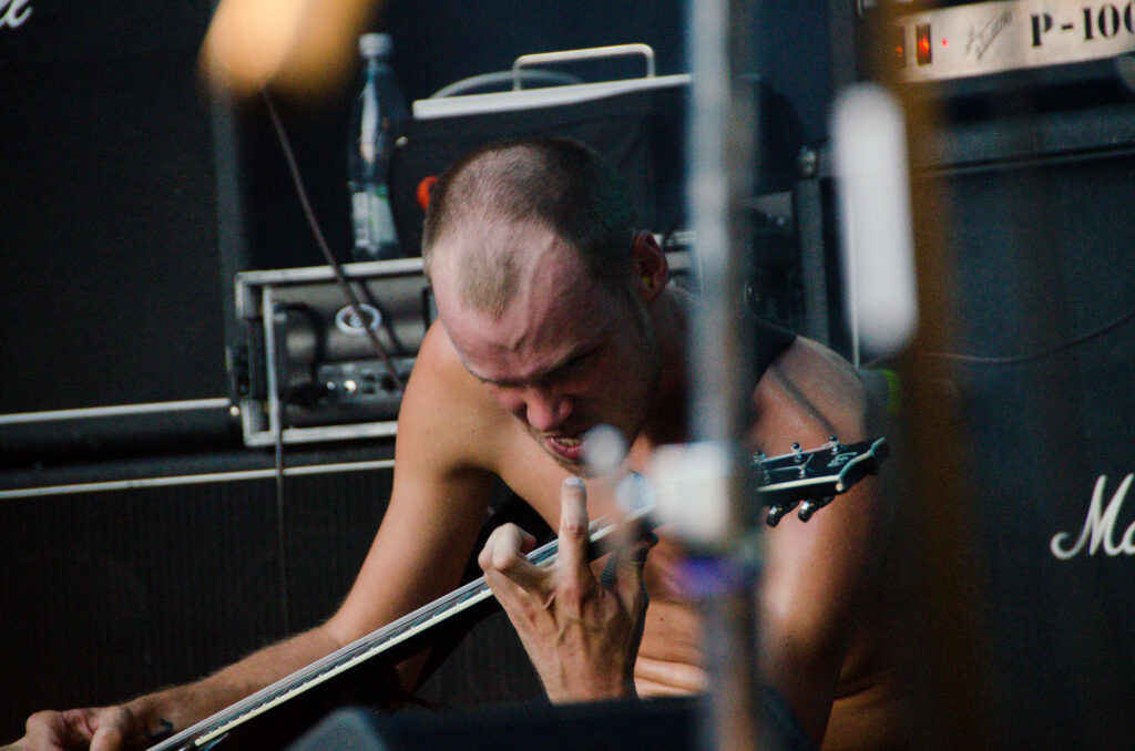 Mantar