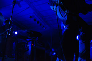 Year Of No Light
